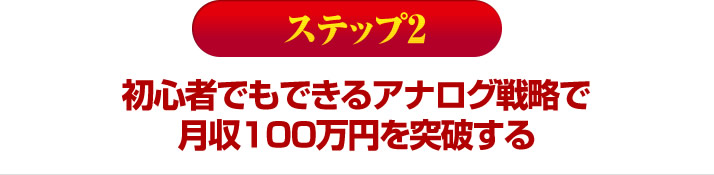 初心者でもできるアナログ戦略で月収１００万円を突破する 